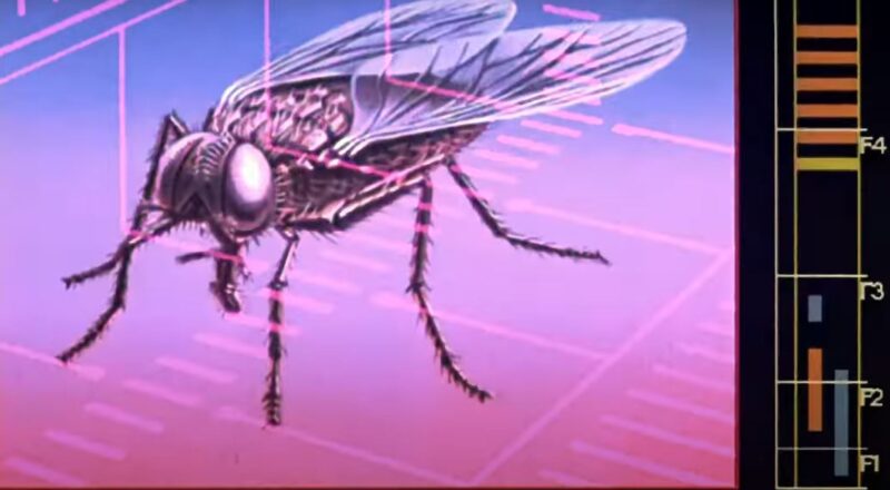 Filme a mosca