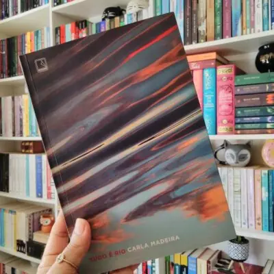 Resumo do Livro Tudo é Rio de Carla Madeira