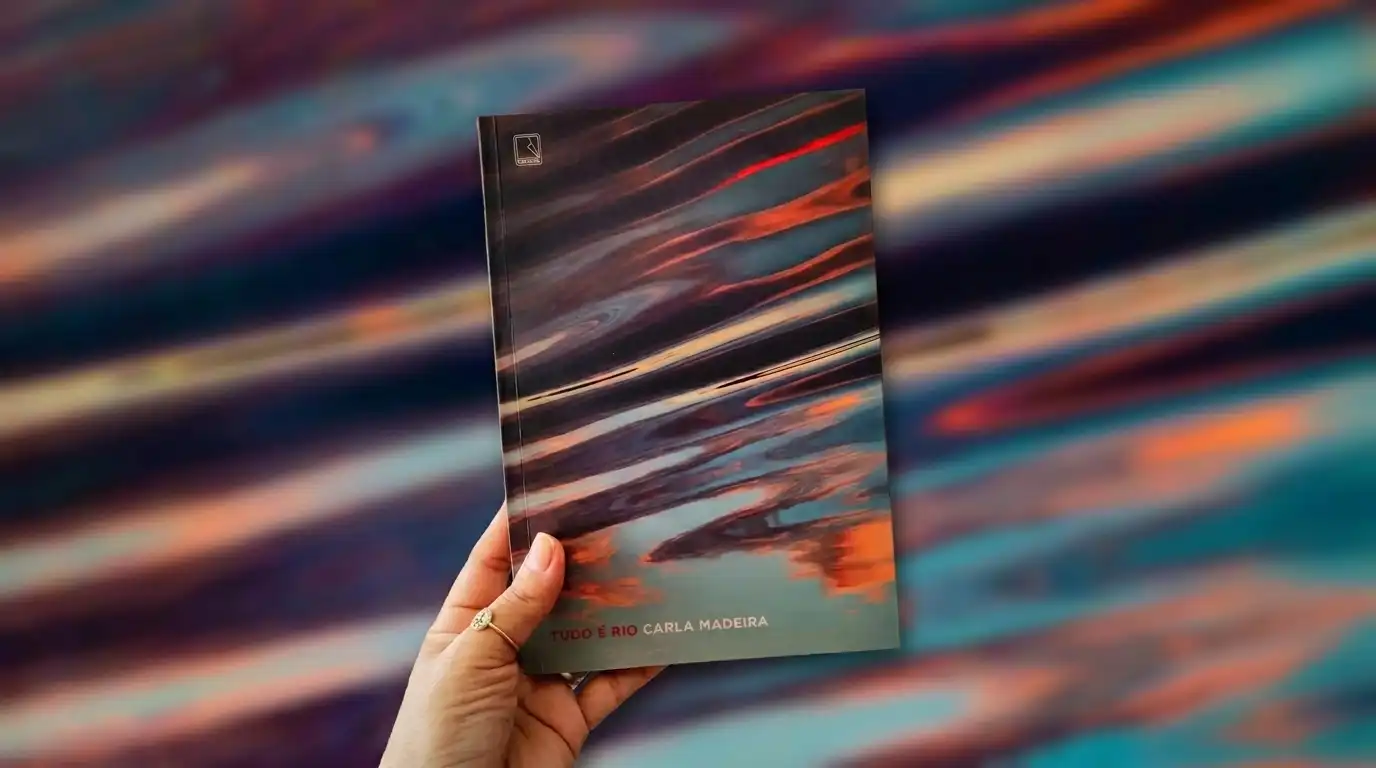 resumo do livro tudo é rio de carla madeira